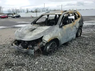 2015 Kia Sorento LX with VIN 5XYKTCA65FG594639, listed as a Copart auction lot 48934685 with Not Provided miles and Salvage Title. Bid and sale history available at DreamBid. Image 12.