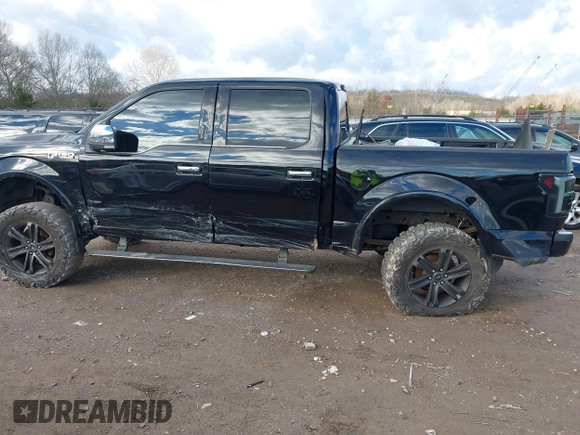 2016 Ford F-150 XLT with VIN 1FTEW1EG4GFA00476, listed as a IAAI auction lot 41218630 with Not provided miles and . Bid and sale history available at DreamBid. Image 13.