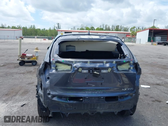 2019 Lexus NX 300 z VIN JTJBARBZ8K2180435, wystawiony jako IAAI lot #42628532 z przebiegiem 47 885 mil mil oraz . Historia ofert i sprzedaży dostępna na DreamBid. Obrazek 6.