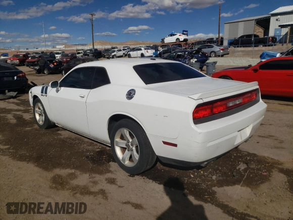 2013 Dodge Challenger R/T with VIN 2C3CDYBT3DH535790, listed as a Copart auction lot 48529355 with 250,497 mi miles and Salvage Title. Bid and sale history available at carsss.com. Image 2.