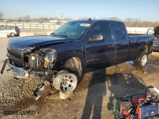 2007 Chevrolet Silverado 1500 Work Truck with VIN 1GCEC19C97Z506481, listed as a Copart auction lot 48399725 with 228,901 mi miles and Non Repairable. Bid and sale history available at carsss.com. Image 1.