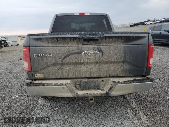 2017 Ford F-150 XL with VIN 1FTEW1EG6HFB05408, listed as a Copart auction lot 48661855 with 231,162 mi miles and Salvage Title. Bid and sale history available at carsss.com. Image 6.