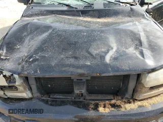 2003 Chevrolet TrailBlazer LTZ with VIN 1GNDT13S332196883, listed as a Copart auction lot 77031124 with 167,328 mi miles and Salvage Title. Bid and sale history available at DreamBid. Image 13.