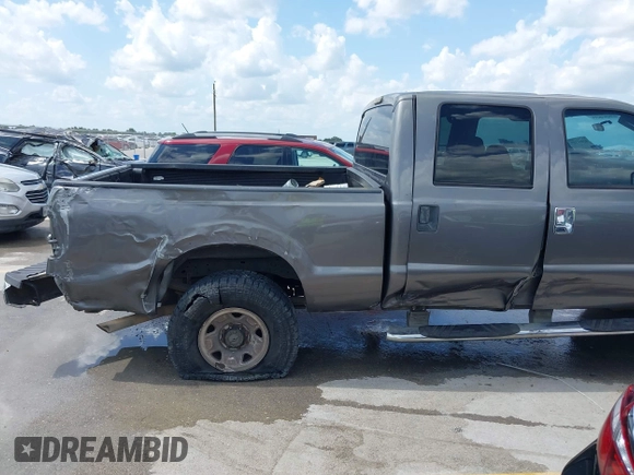 2009 Ford F-250 XL with VIN 1FTSW21519EB01299, listed as a IAAI auction lot 42491327 with 235,705 mi miles and . Bid and sale history available at DreamBid. Image 6.