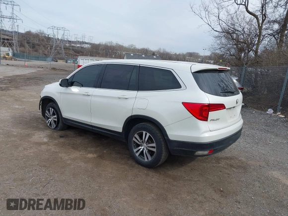 2018 Honda Pilot EX-L with VIN 5FNYF5H52JB022986, listed as a IAAI auction lot 41613038 with 1 mi miles. Bid and sale history available at carsss.com. Image 3.