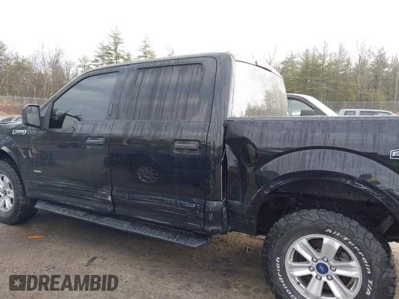 2017 Ford F-150 XL with VIN 1FTEW1EP0HKD12237, listed as a IAAI auction lot 41815013 with 60,167 mi miles. Bid and sale history available at carsss.com. Image 15.
