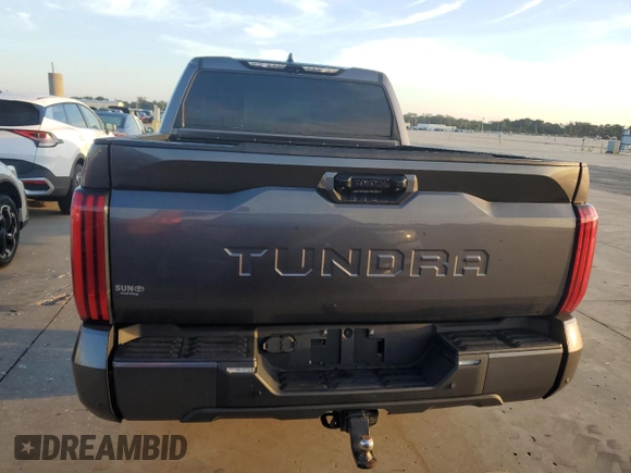 2022 Toyota Tundra 2WD SR5 with VIN 5TFLA5AB1NX004886, listed as a Copart auction lot 73711744 with 28,781 mi miles and Non Repairable. Bid and sale history available at carsss.com. Image 6.
