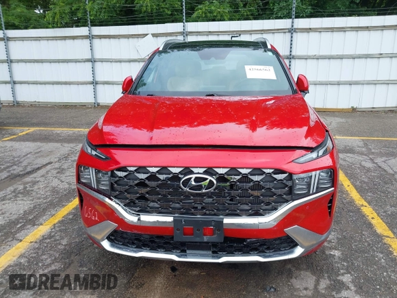 2023 Hyundai Santa Fe Calligraphy with VIN 5NMS54AL9PH589991, listed as a IAAI auction lot 42566562 with 23,162 mi miles and . Bid and sale history available at DreamBid. Image 12.