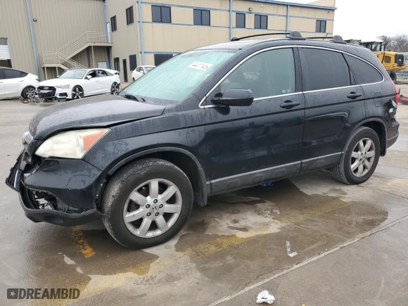 2009 Honda CR-V EX-L with VIN 5J6RE38719L020002, listed as a Copart auction lot 44411145 with 190,536 mi miles and Salvage Title. Bid and sale history available at carsss.com. Image 1.