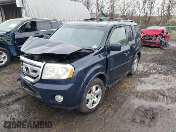 2009 Honda Pilot EX-L with VIN 5FNYF48699B055062, listed as a IAAI auction lot 41967409 with 300,781 mi miles and . Bid and sale history available at carsss.com. Image 2.