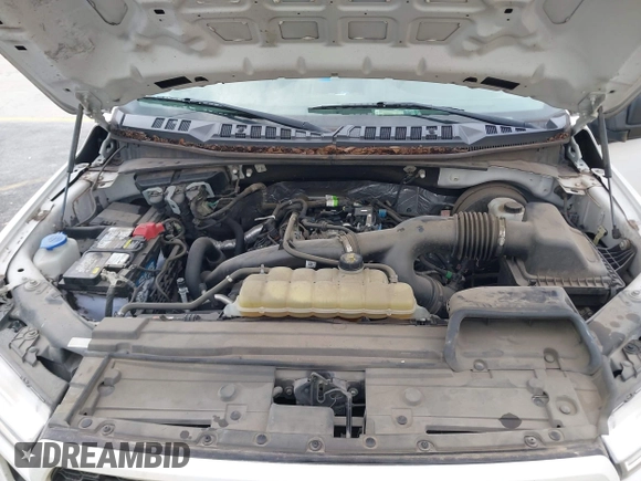 2019 Ford F-150 XL with VIN 1FTEW1CP3KKD55769, listed as a IAAI auction lot 42622540 with 114,317 mi miles and . Bid and sale history available at DreamBid. Image 10.