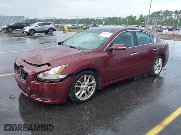 2010 Nissan Maxima 3.5 SV with VIN 1N4AA5AP7AC809317, listed as a IAAI auction lot 42095436 with 144,556 mi miles. Bid and sale history available at carsss.com. Image 2.
