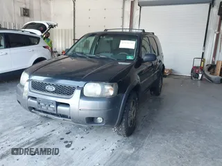 2004 Ford Escape XLT z VIN 1FMYU93114KB49698, wystawiony jako IAAI lot #42576733 z przebiegiem 317 848 mil mil oraz . Historia ofert i sprzedaży dostępna na DreamBid. Obrazek 2.