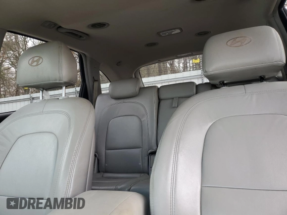 2007 Hyundai Veracruz GLS with VIN KM8NU13C67U019091, listed as a Copart auction lot 43911925 with 201,895 mi miles and Salvage title. Bid and sale history available at DreamBid. Image 10.