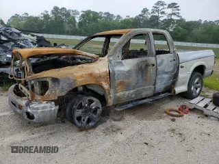 2007 Dodge 1500 ST with VIN 1D7HA18P87S154239, listed as a Copart auction lot 50584165 with Not Provided miles and Non Repairable. Bid and sale history available at DreamBid. Image 1.