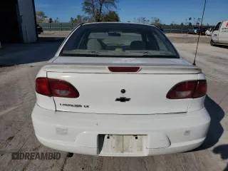2001 Chevrolet Cavalier LS with VIN 1G1JF524017158226, listed as a Copart auction lot 79094294 with 106,918 mi miles and Salvage Title. Bid and sale history available at DreamBid. Image 6.