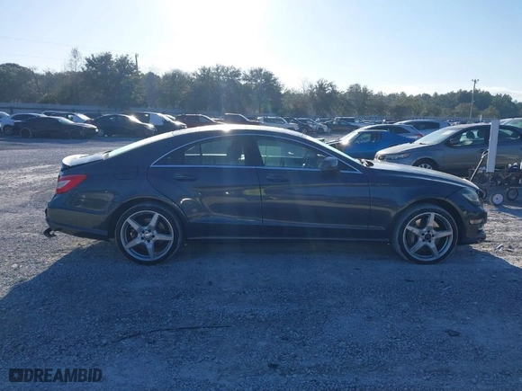 2013 Mercedes-Benz CLS-Class CLS 550 with VIN WDDLJ7DB2DA085248, listed as a IAAI auction lot 41180283 with 154,550 mi miles. Bid and sale history available at carsss.com. Image 13.