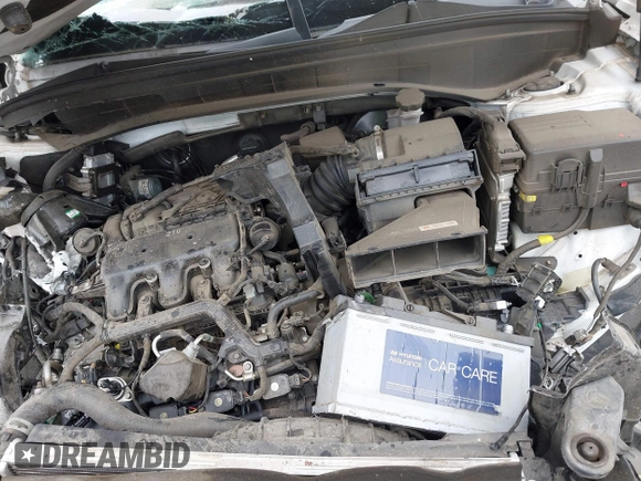 2021 Hyundai Palisade SEL z VIN KM8R24HE3MU305527, wystawiony jako IAAI lot #41890500 z przebiegiem 55 514 mil mil oraz . Historia ofert i sprzedaży dostępna na DreamBid. Obrazek 10.