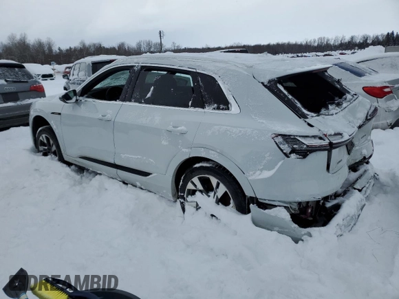 2022 Audi e-tron Premium with VIN WA1AAAGE6NB042543, listed as a Copart auction lot 44607415 with 143,781 mi miles and Salvage Title. Bid and sale history available at carsss.com. Image 2.