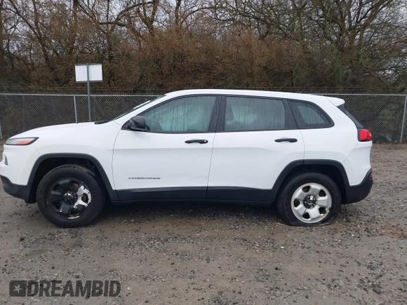 2014 Jeep Cherokee Sport with VIN 1C4PJMAB3EW287020, listed as a IAAI auction lot 41040643 with 134,417 mi miles. Bid and sale history available at carsss.com. Image 14.