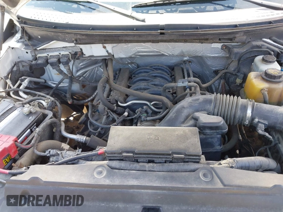 2013 Ford F-150 XL with VIN 1FTFX1EF8DFD61083, listed as a IAAI auction lot 42066005 with 203,918 mi miles. Bid and sale history available at carsss.com. Image 10.