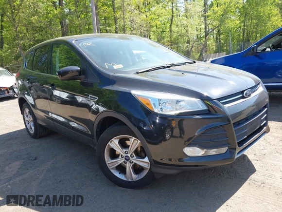 2014 Ford Escape SE with VIN 1FMCU0GX2EUB40356, listed as a IAAI auction lot 42142617 with 156,703 mi miles. Bid and sale history available at carsss.com. Image 1.