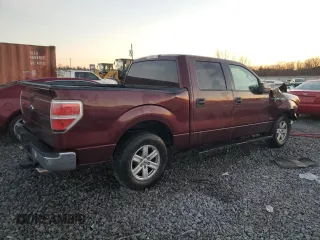 2009 Ford F-150 XL with VIN 1FTPW12V69KC71691, listed as a Copart auction lot 46351605 with 219,531 mi miles and Salvage Title. Bid and sale history available at carsss.com. Image 3.