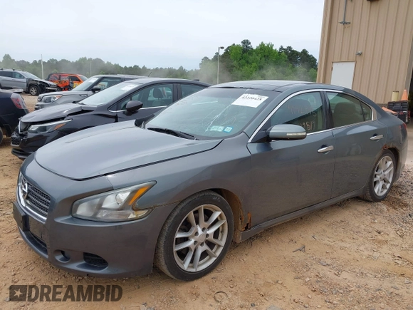 2010 Nissan Maxima 3.5 SV with VIN 1N4AA5AP0AC806842, listed as a IAAI auction lot 42220428 with 129,530 mi miles. Bid and sale history available at carsss.com. Image 2.