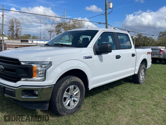 2018 Ford F-150 XL z VIN 1FTEW1E55JFC60004, wystawiony jako Copart lot #45789785 z przebiegiem 165 508 mil mil oraz Czysty tytuł • Clean title. Historia ofert i sprzedaży dostępna na DreamBid. Obrazek 2.