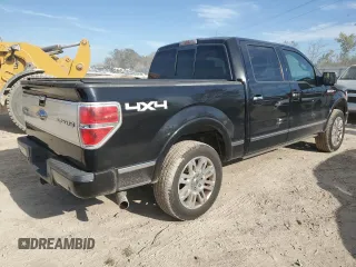 2009 Ford F-150 XL with VIN 1FTPW14V39FA46411, listed as a Copart auction lot 77964244 with 267,792 mi miles and Salvage title. Bid and sale history available at DreamBid. Image 3.