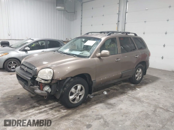 2005 Hyundai Santa Fe GLS with VIN KM8SC73E35U007942, listed as a IAAI auction lot 41201901 with 184,437 mi miles. Bid and sale history available at carsss.com. Image 17.