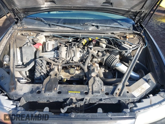 2002 Buick Regal GS с VIN 2G4WF551121109464, выставлен на аукционе IAAI как лот 41695972 с пробегом Не указан миль и . История ставок и продаж доступна на DreamBid. Изображение 10.