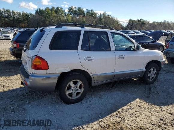2004 Hyundai Santa Fe GLS with VIN KM8SC73D34U825791, listed as a Copart auction lot 80548534 with 124,080 mi miles and Clean Title. Bid and sale history available at DreamBid. Image 3.