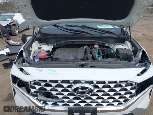 2023 Hyundai Santa Fe Limited with VIN 5NMS4DAL0PH497767, listed as a IAAI auction lot 41578381 with 31,011 mi miles and . Bid and sale history available at DreamBid. Image 10.