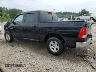 2010 Dodge 1500 SLT with VIN 1D7RV1CP1AS174131, listed as a Copart auction lot 60446704 with 164,653 mi miles and Non Repairable. Bid and sale history available at DreamBid. Image 2.