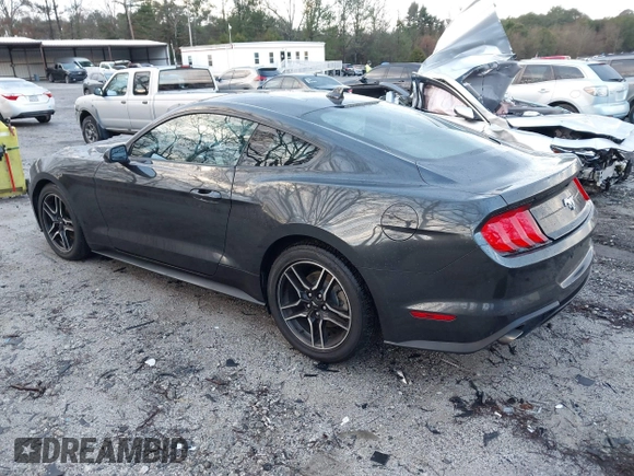 2023 Ford Mustang EcoBoost with VIN 1FA6P8TH8P5100212, listed as a IAAI auction lot 41253494 with 24,353 mi miles. Bid and sale history available at carsss.com. Image 3.