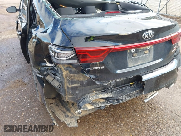 2019 Kia Forte S with VIN 3KPF34AD7KE066484, listed as a IAAI auction lot 41073964 with 118,946 mi miles. Bid and sale history available at carsss.com. Image 20.