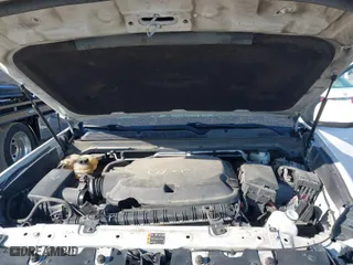 2019 Chevrolet Colorado 4WD Z71 with VIN 1GCGTDEN9K1135489, listed as a IAAI auction lot 41752283 with 180,854 mi miles. Bid and sale history available at carsss.com. Image 10.