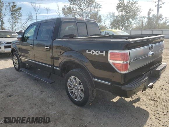 2009 Ford F-150 XL with VIN 1FTPW14V39FA46411, listed as a Copart auction lot 77964244 with 267,792 mi miles and Salvage title. Bid and sale history available at DreamBid. Image 2.