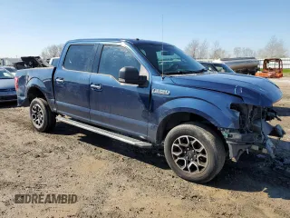 2017 Ford F-150 XL with VIN 1FTEW1C80HKD49171, listed as a Copart auction lot 46488475 with 172,675 mi miles and Salvage Title. Bid and sale history available at carsss.com. Image 4.