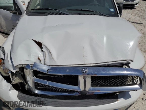2005 Dodge 1500 SLT with VIN 1D7HA16N05J537953, listed as a Copart auction lot 49049175 with 132,243 mi miles and Salvage Title. Bid and sale history available at carsss.com. Image 11.