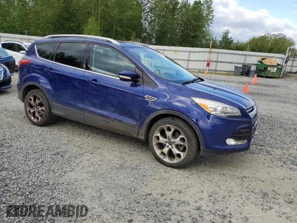 2014 Ford Escape Titanium with VIN 1FMCU9JX2EUB16376, listed as a Copart auction lot 56176425 with 115,265 mi miles and Clean Title. Bid and sale history available at DreamBid. Image 4.