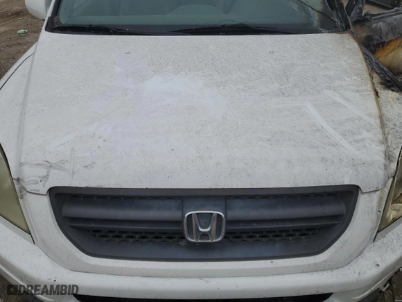 2004 Honda Pilot EX with VIN 2HKYF18634H539236, listed as a Copart auction lot 42769815 with 0 mi miles and Salvage Title. Bid and sale history available at carsss.com. Image 12.