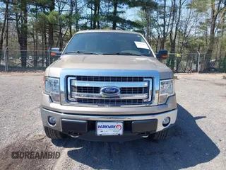 2014 Ford F-150 XL with VIN 1FTFX1EF3EFA91472, listed as a IAAI auction lot 42112651 with 1 mi miles. Bid and sale history available at carsss.com. Image 13.