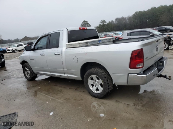 2010 Dodge Ram 1500 ST with VIN 1D7RB1GPXAS181534, listed as a Copart auction lot 42546165 with 195,845 mi miles and Salvage Title. Bid and sale history available at carsss.com. Image 2.