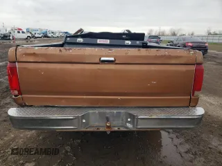 1994 Ford F-150 with VIN 2FTEF15N4RCA56009, listed as a Copart auction lot 45387595 with 0 mi miles and Salvage Title. Bid and sale history available at carsss.com. Image 6.