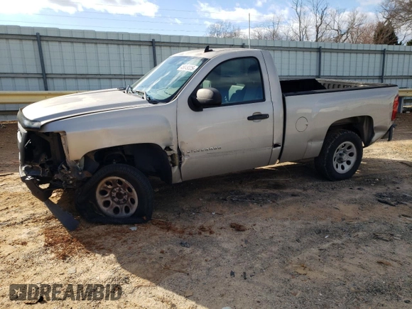 2008 Chevrolet Silverado 1500 Work Truck with VIN 1GCEC14X28Z193298, listed as a Copart auction lot 48049325 with 244,126 mi miles and Salvage Title. Bid and sale history available at carsss.com. Image 1.