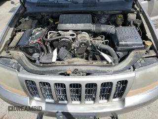 1999 Jeep Grand Cherokee Limited with VIN 1J4GW68N4XC663476, listed as a Copart auction lot 52449925 with 174,583 mi miles and Salvage Title. Bid and sale history available at carsss.com. Image 12.