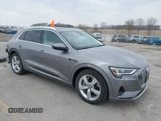 2019 Audi e-tron Premium Plus z VIN WA1LAAGE1KB007915, wystawiony jako IAAI lot #42022873 z przebiegiem 30 537 mil mil oraz . Historia ofert i sprzedaży dostępna na DreamBid. Obrazek 1.
