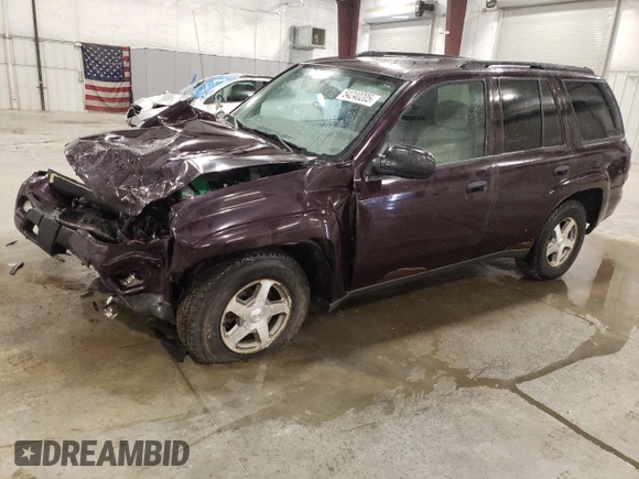 2008 Chevrolet TrailBlazer 1LT with VIN 1GNDT13S382237469, listed as a Copart auction lot 54240205 with 93,172 mi miles and Salvage Title. Bid and sale history available at DreamBid. Image 1.